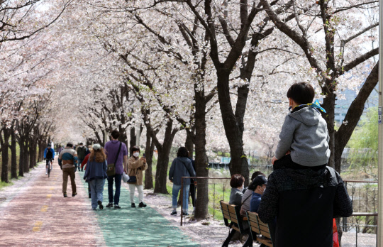 벚꽃길 산책      (서울=연합뉴스) 김인철 기자 = 4일 서울 송파구 올림픽공원 성내천 변에서 시민들이 벚꽃길을 산책하고 있다. 2021.4.4      yatoya@yna.co.kr  (끝)